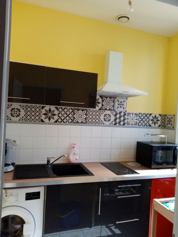 Appartement De Charme Bonnemere ソミュール エクステリア 写真